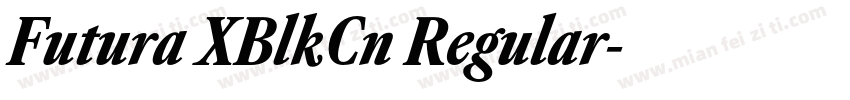 Futura XBlkCn Regular字体转换